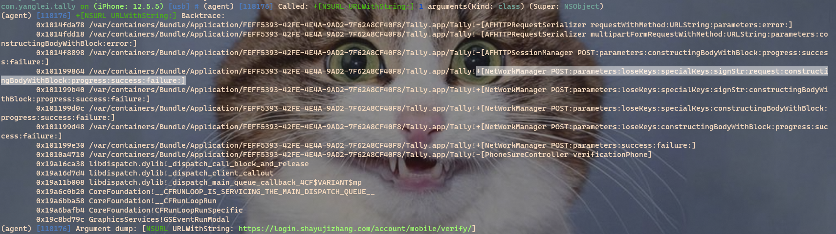 image-20220928172654733