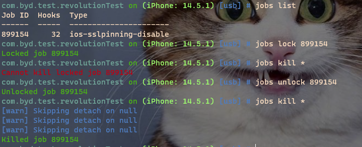 image-20231222134336784
